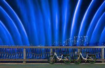 Seoul Night Tour with Han River Cruise and Gyeongbokgung Palace