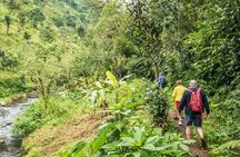 Materuni Waterfalls, Coffee Tour & Chemka Hot Springs Day Trip