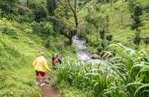 Materuni Waterfalls, Coffee Tour & Chemka Hot Springs Day Trip