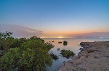 Doha Private North Qatar Tour, Mangroves and Al Zubarah Fort