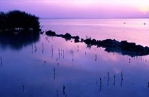 Doha Private North Qatar Tour, Mangroves and Al Zubarah Fort