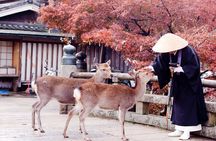 Nara Private Tour with Pick and Drop and English Speaking Driver
