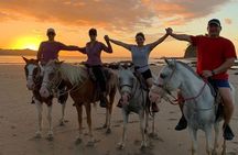 Horseback Riding - 2h Guided Tour