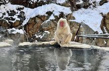 Full Day Nagano Tour Jigokudani Park And Zenkuji Temple