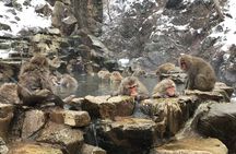 Full Day Nagano Tour Jigokudani Park And Zenkuji Temple