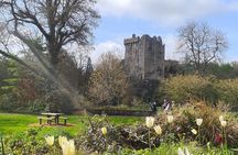 Private tour of, Blarney Castle, Cork City and Kinsale