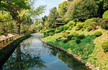 Matsuyama Private Customizable Full Day Tour