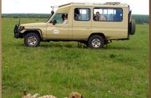 4 Day Group Safari Masai Mara & L Nakuru-4 WD