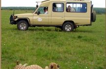 4 Day Group Safari Masai Mara & L Nakuru-4 WD