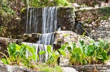 Off-Road: Lake Kournas, Waterfalls, Gorges & Palm Beach Forest