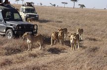 3 Days, 2 nights Masai Mara Small Group Safari -4 x 4 jeep