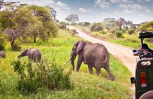 Cape Town to Durban via Drakensberg 7 Day Garden Route Adventure