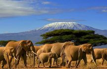 2-Day Kruger National Park Safari Adventure from Johannesburg