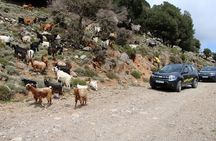 4x4 Self-drive Southern Escape Safari in Crete with BBQ Lunch