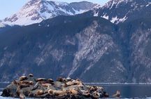 3 Hour Alaska Waterfalls Tour