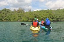 Kayak Tour at Mangel Halto and Spanish Lagoon