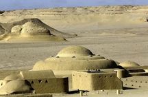 Wadi Al-Hitan Private Valley of the Whales Day Tour From Cairo