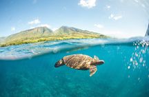 Snorkel Sail Adventure off Ka'anapali Beach, Maui