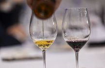 Valencia Wine Tasting and Tapas Experience