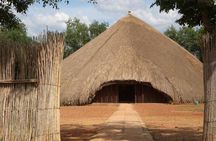 Half Day Safari Phezulu Park and Durban City Tour