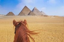 Happy Horse Holidays at Pyramids of Giza