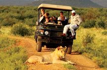Small Group 4 Day Garden Route Adventure from Cape Town