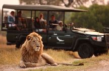 Half Day Hluhluwe Imfolozi Game Reserve from Richards Bay Safari 