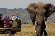 Durban to Cape Town 7 Day Adventure