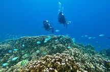 Experience Scuba Diving - No Certification Needed! 