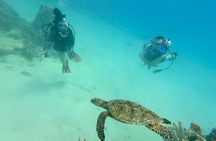 Experience Scuba Diving - No Certification Needed! 