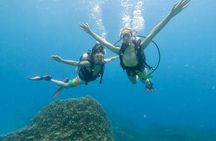 Experience Scuba Diving - No Certification Needed! 