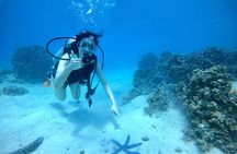 Experience Scuba Diving - No Certification Needed! 