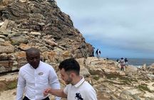 Full Day Cape of Good Hope & Boulder's Beach Penguin Private Tour