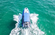 Whale Watching Discovery Tour from Lake Macquarie