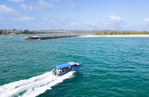 Whale Watching Discovery Tour from Lake Macquarie