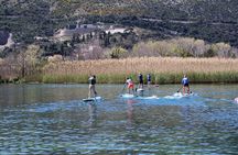 Paddleboarding on River Ombla