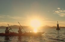Sunset Dolphin Kayak Tour at Golfo Aranci