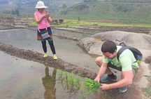 6-Days Sapa Trekking & Ha Giang Loop