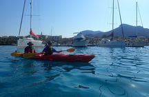 Sunset Dolphin Kayak Tour at Golfo Aranci