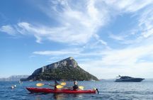 3-Hour Kayak Tour at Capo Figari (Golfo Aranci)