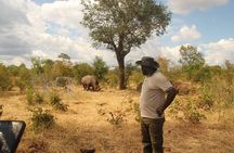 Walking Safari of Mosi-oa-Tunya National park, Livingstone Zambia