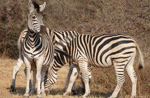 Walking Safari of Mosi-oa-Tunya National park, Livingstone Zambia