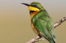 Walking Safari of Mosi-oa-Tunya National park, Livingstone Zambia