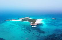 Daymaniyat Islands Oman Sharing Tour