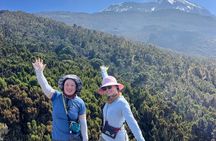 7 Days Private Climb via Lemosho Route 