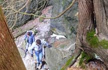 Private Duncan/Metcalfe Caves Hike, Collingwood/Blue Mountain