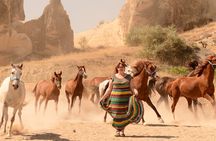 Photoshoot with Running Horses