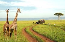 Half Day Tala Game Reserve and Natal Park from Durban