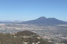 From Sorrento: Pompeii guided tour & wine tasting All Inclusive