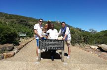 Full Day Cape of Good Hope & Boulder's Beach Penguin Private Tour